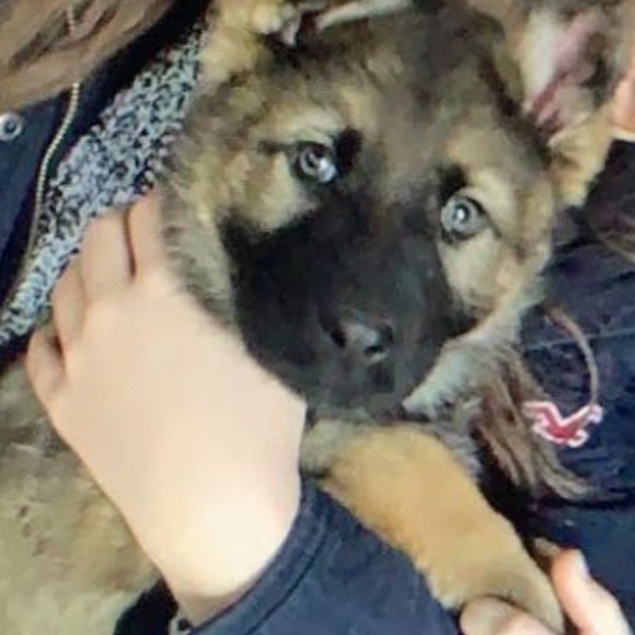 Meet your Posher, Alex - Picture 1 of 1